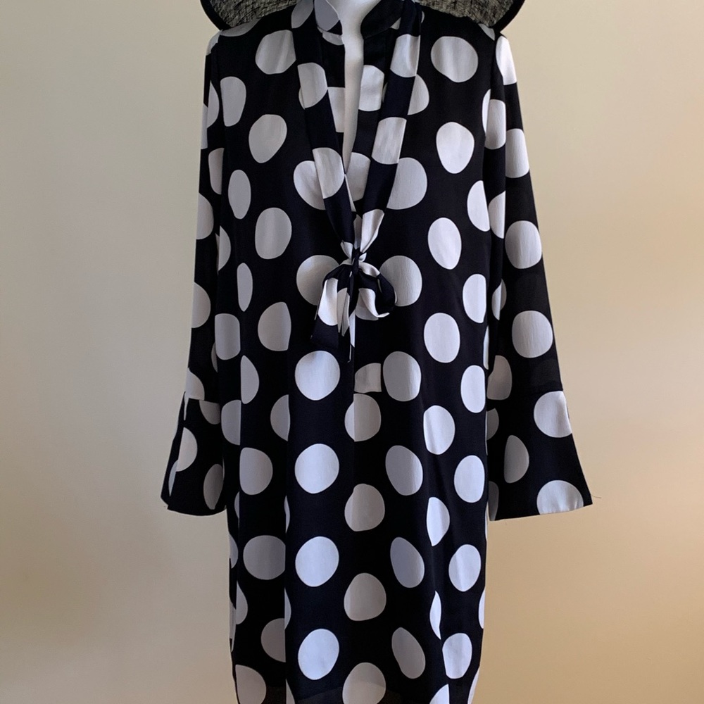 Ann Taylor Polka Dot Shirt Dress